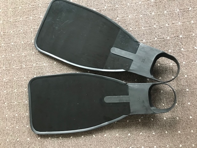 879017799.jpg