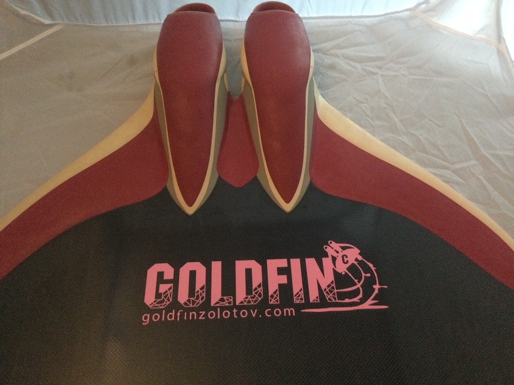 Monoflosse Goldfin / Carbon