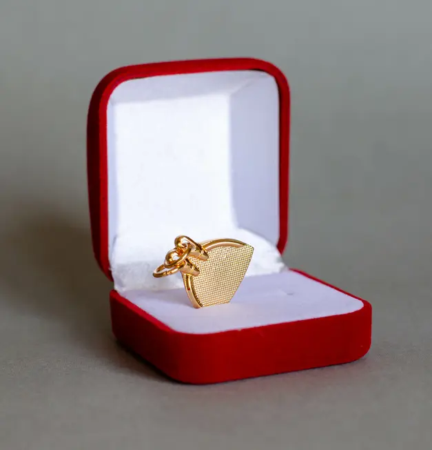 Gilde gold monofin (2).webp