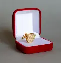 Gilde gold monofin (2).webp
