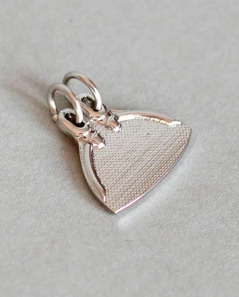 Silvered monofin.webp