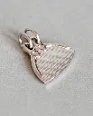 Silvered monofin.webp