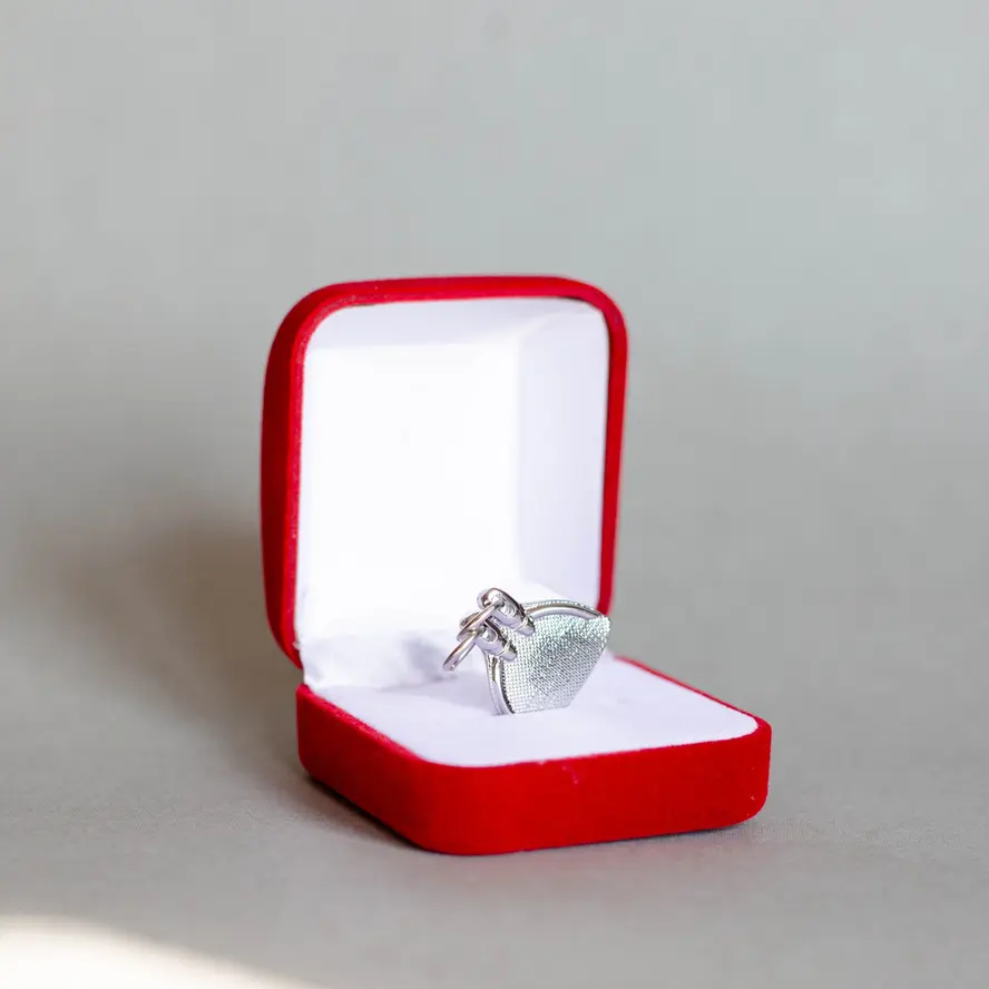 Silvered monofin (1).webp