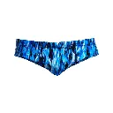 Badehose Funky Trunks Men Seamed Brief / Wing Streak