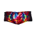 Badehose Funky Trunks Men Sidewinder Trunk / Pride Alive